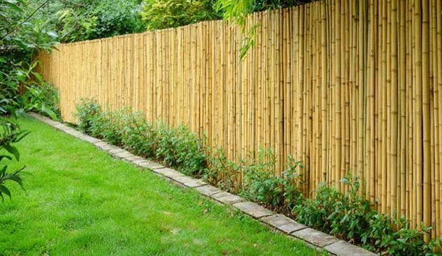 Bamboo screen fencing along a garden boundary